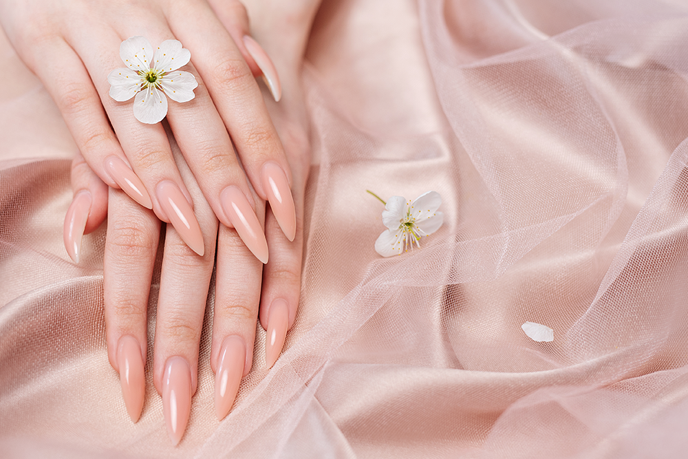 Dip Powder vs Gel Nails: Your Complete Guide from Waltham Nails & Spa